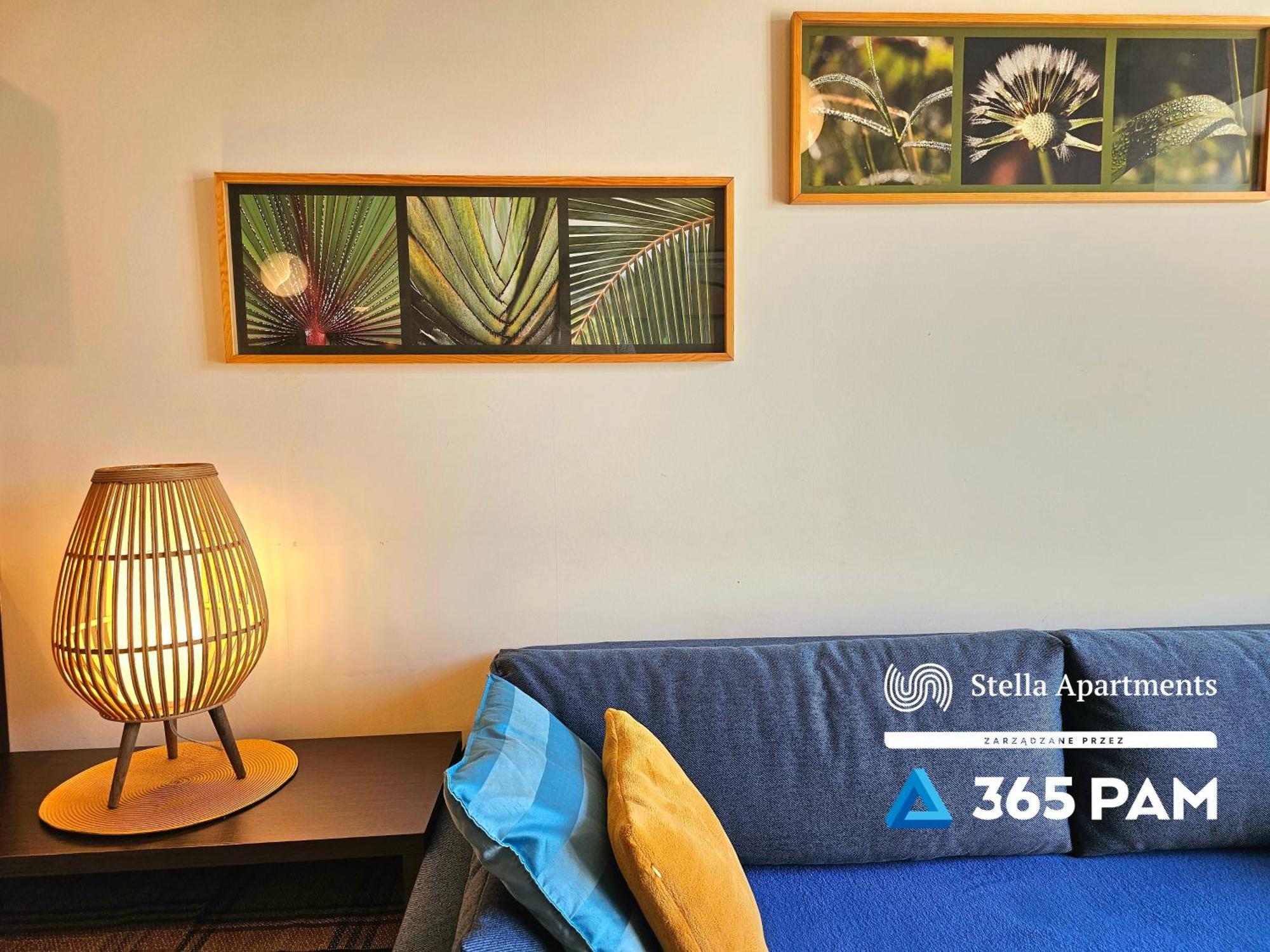 Apartament Plazowy - 365Pam ซาร์บินโนโว ภายนอก รูปภาพ